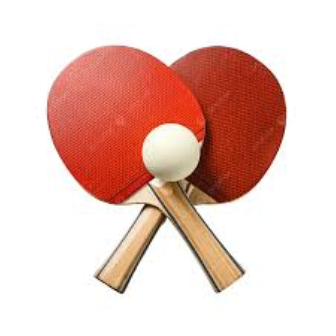 TABLE TENNIS BAT &2 BALLS 2012